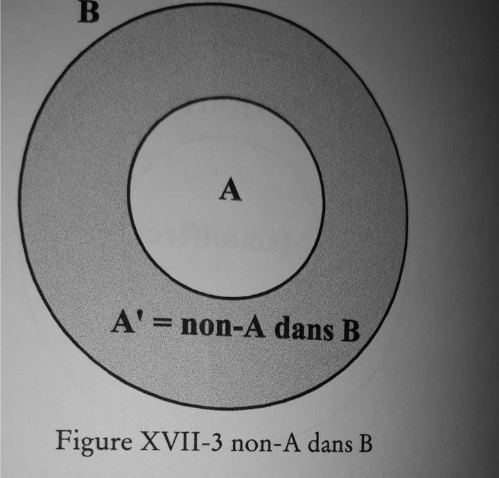 l13-7